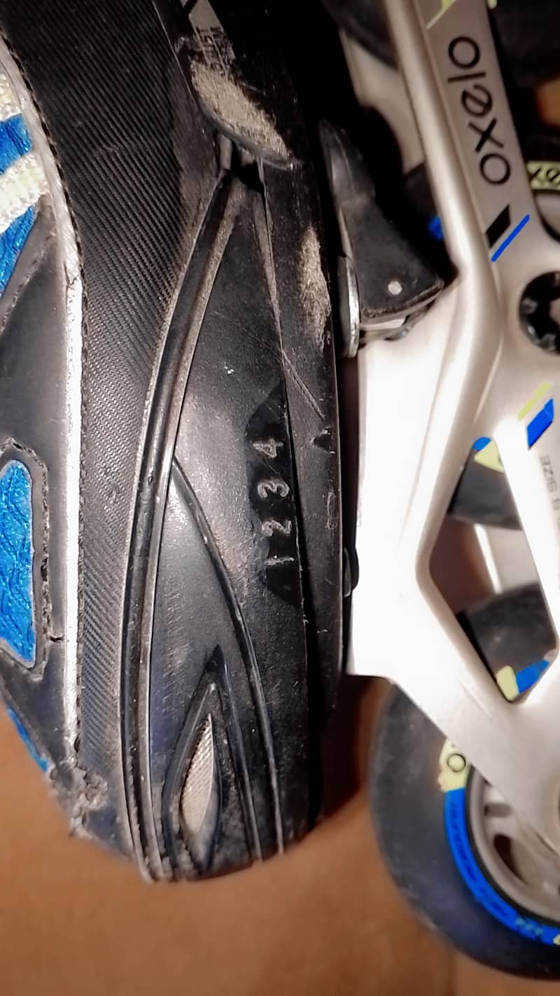 skating shoes 3