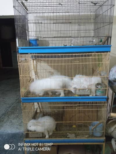 Folding tower cage with drain system and new tray