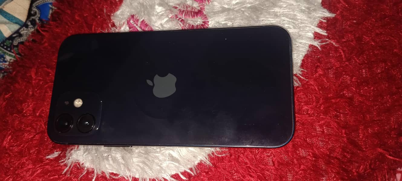 Apple iPhone 12 1