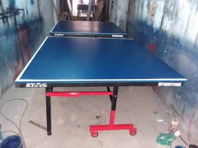 Table Tennis / Ping pong / Snooker / Tennis / Pool / Sport Equipement