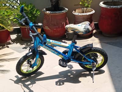 Sports Bicycle