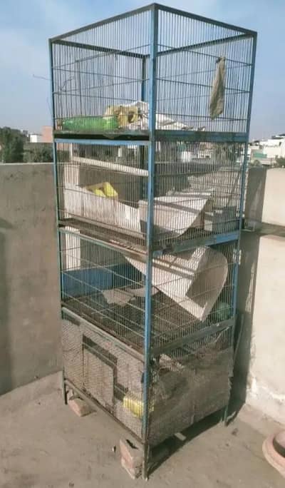 pigeon or parrot cage