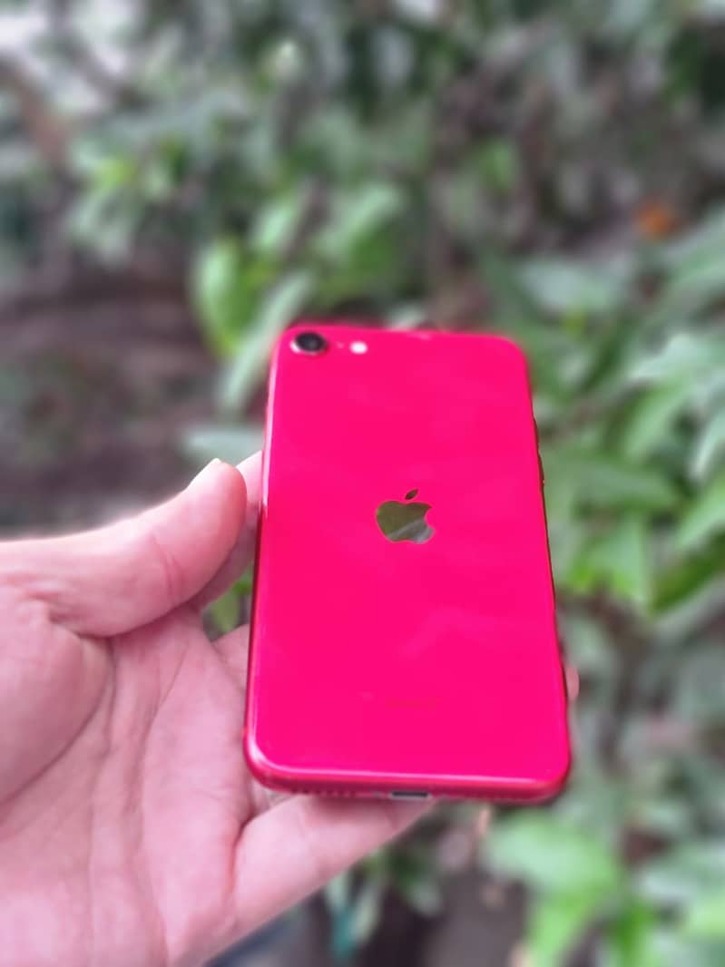 Apple iPhone SE 2nd generation 6
