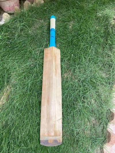 Hard ball Cricket Bat