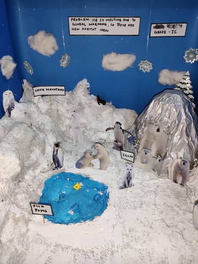 Science project Class 1