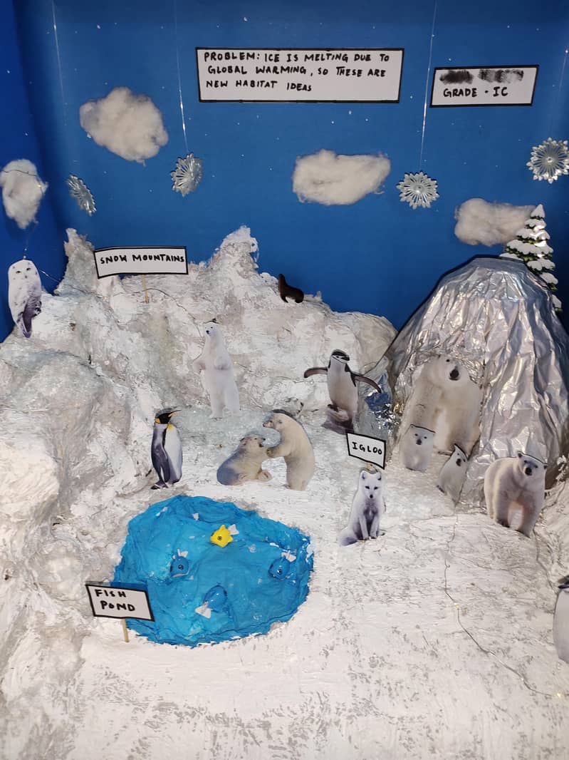 Science project Class 1 0