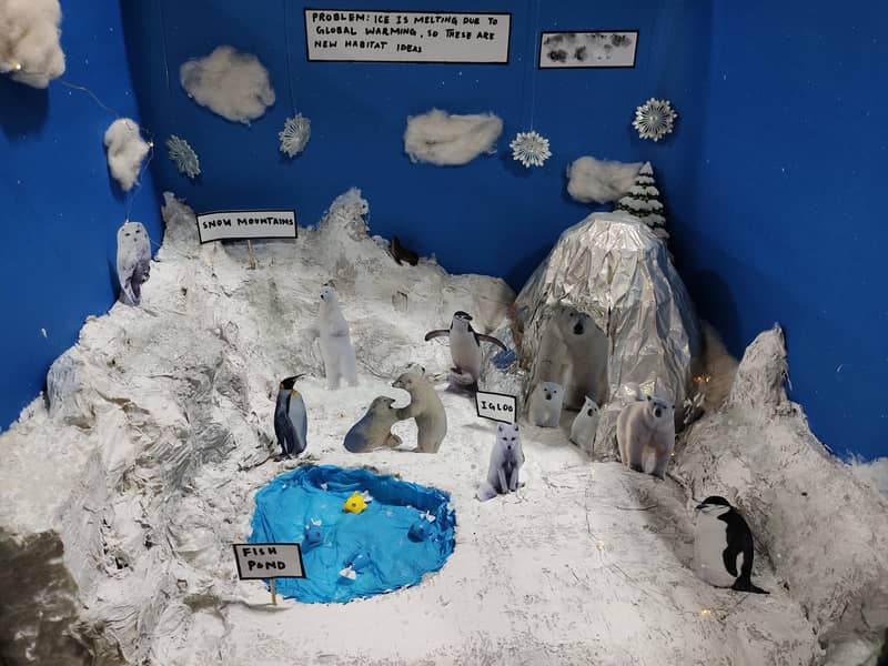 Science project Class 1 2