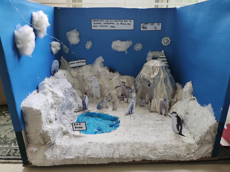 Science project Class 1 3