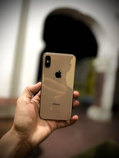 iPhone XS 256Gb geniune total face id ok. Factory unlocked No exchange