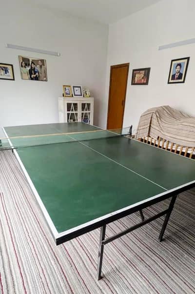 Table Tennis for Sale