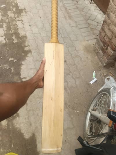 cricket bat