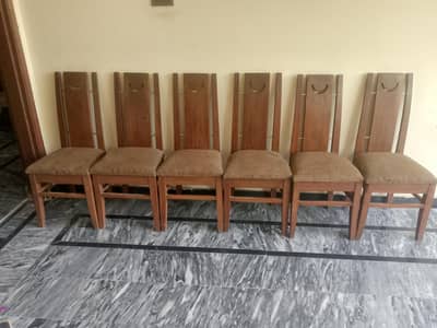 6 seats of dinning chairs for sale 03455915011