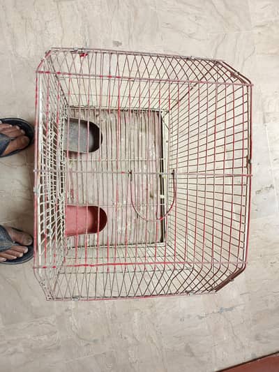 cage for bird