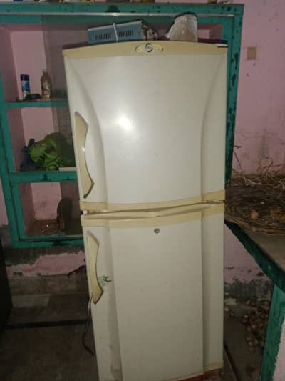 freezer