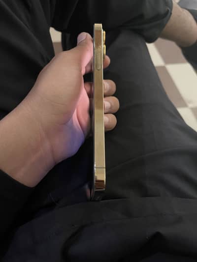 Apple iPhone 12 Pro Max