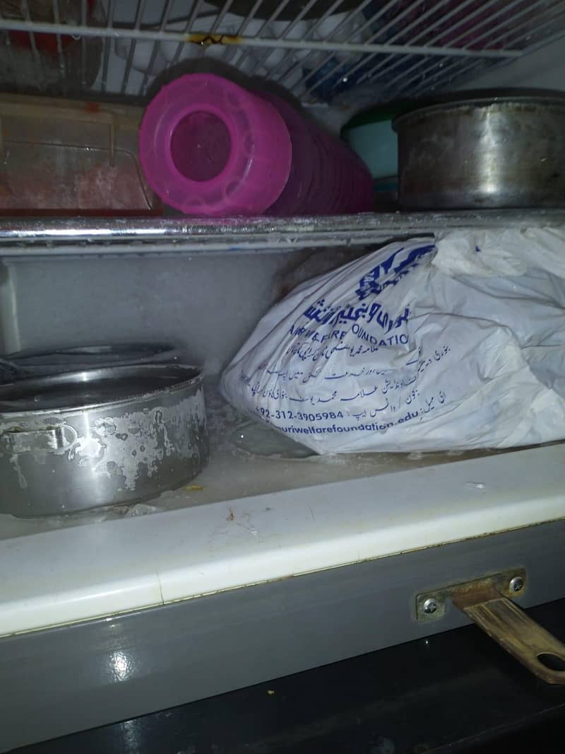 fridge 2