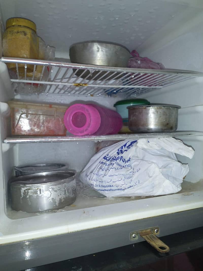 fridge 4