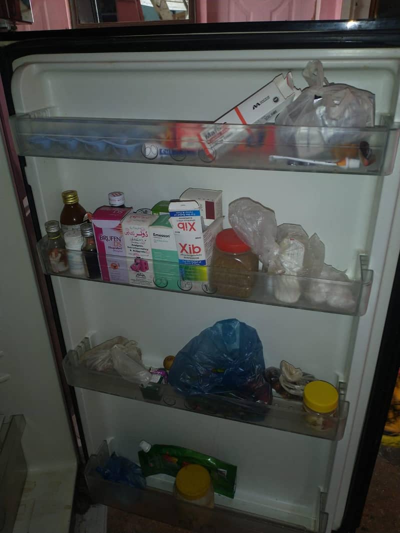 fridge 5