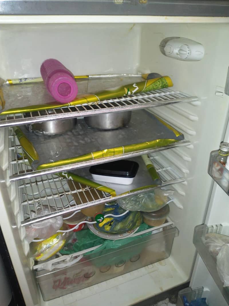 fridge 6