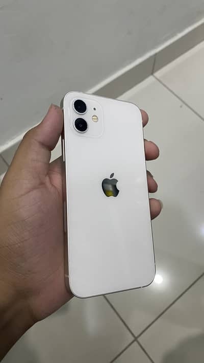 Apple iPhone 12 ( 128 GB ) Approved