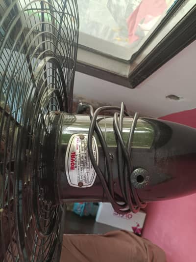 Fan Royal mist fan