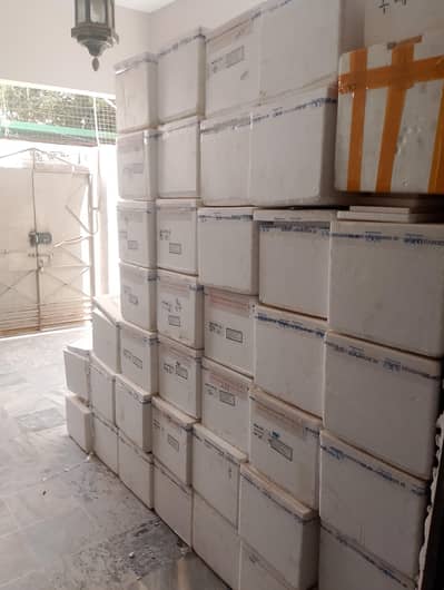 Disposable ice box big