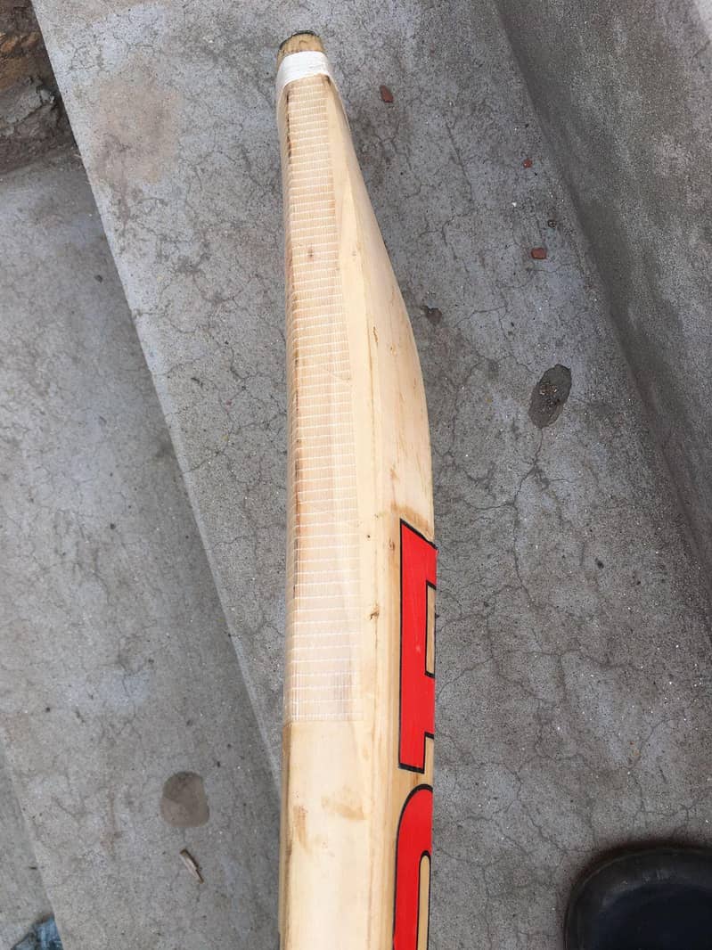 cricket bat 1