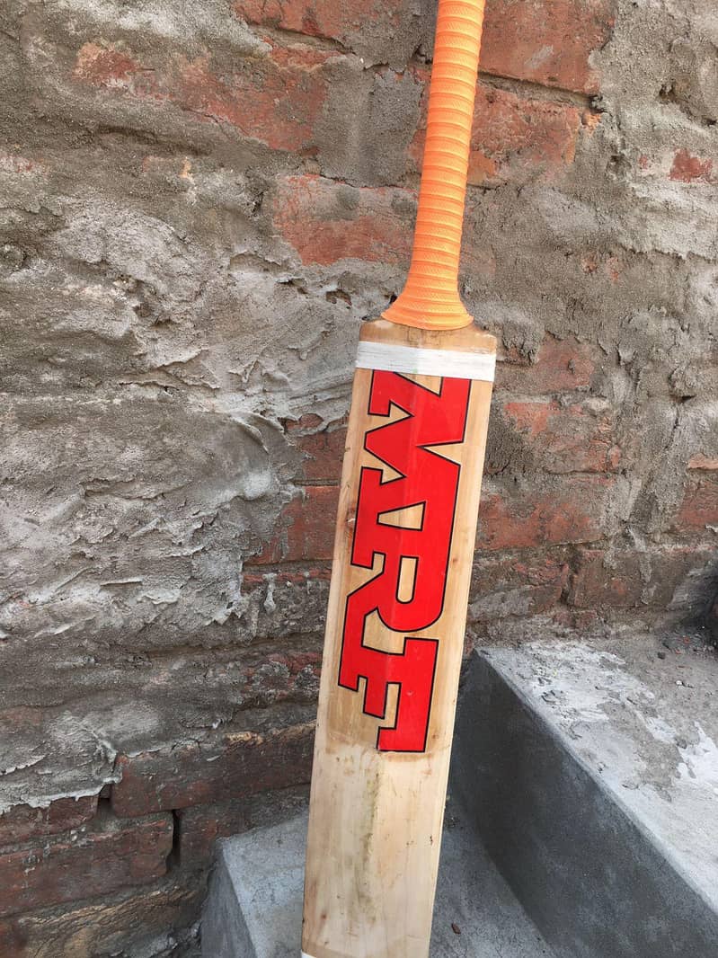 cricket bat 2