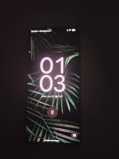 Google Pixel 6 Pro