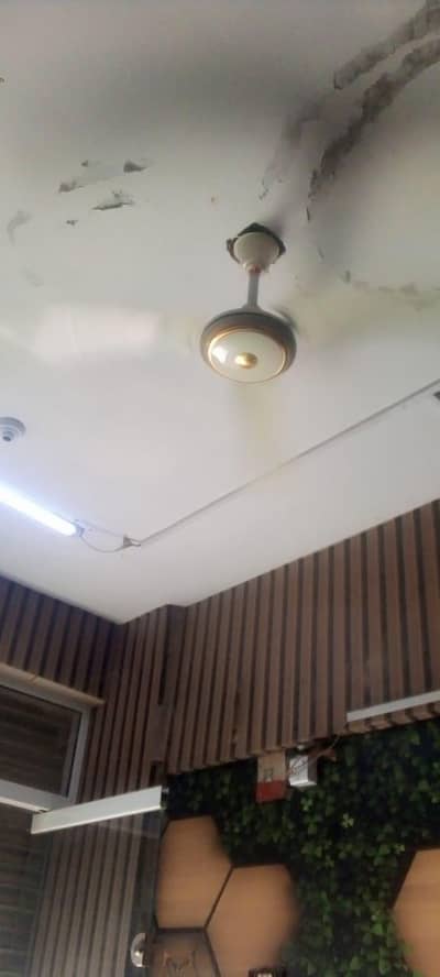 New Fan only 15 day used