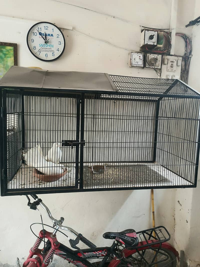 cage with pair 1