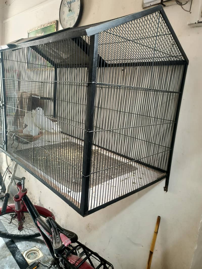 cage with pair 5