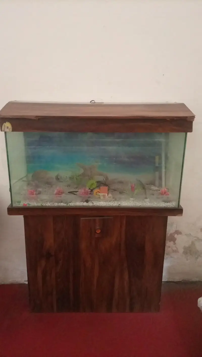Aquarium