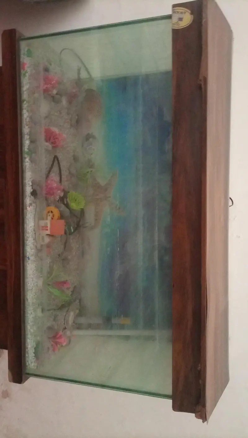 Aquarium — photo 2