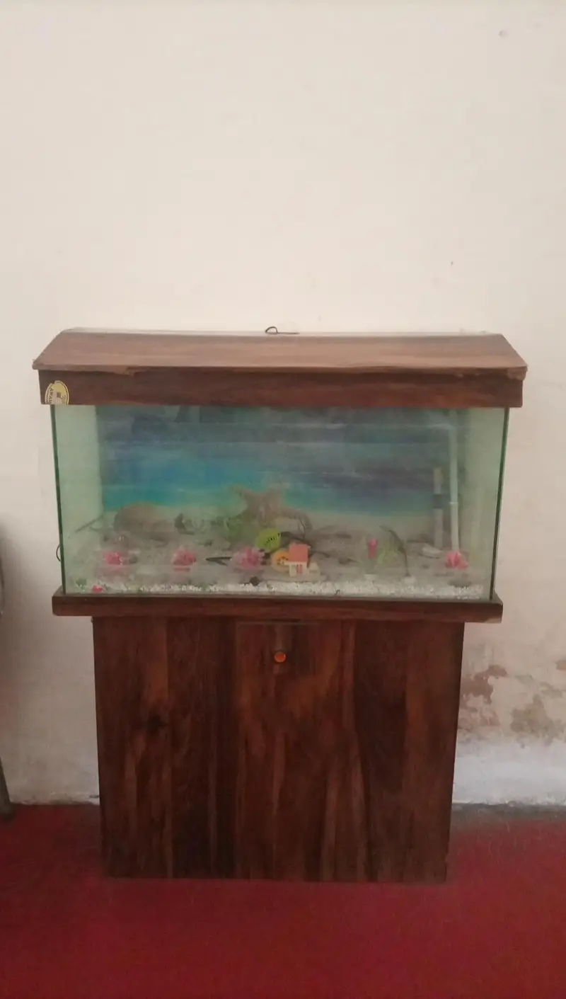 Aquarium — photo 4
