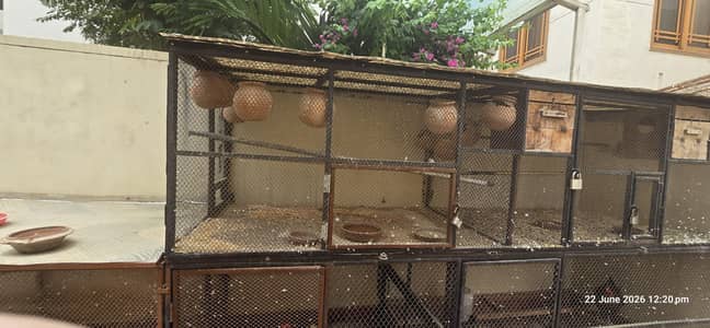 Birds Cage for sale