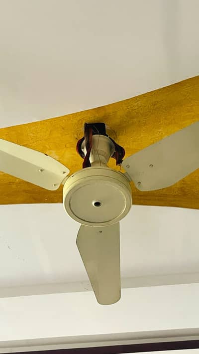 Two ceiling fans
