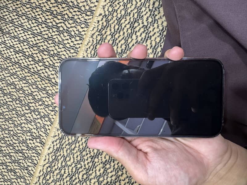 iPhone 13 Pro Max 1