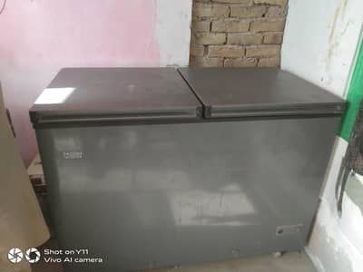 New D Freezer 10 by 10 ok