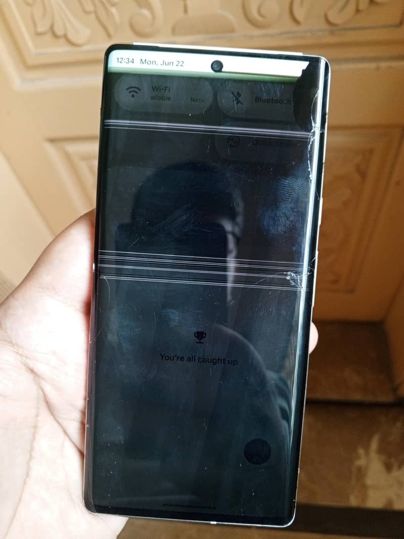 Google Pixel 6 Pro 1