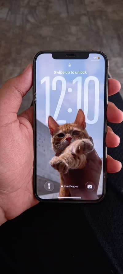 Apple iPhone 12 Pro Max