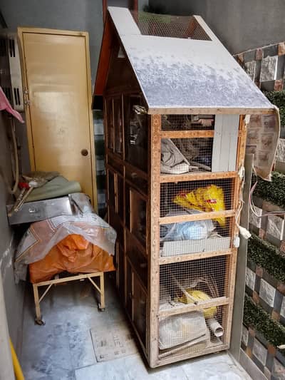 Birds cage with 5 portion