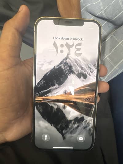 Apple iPhone 12 Pro Max
