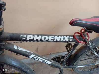 Phoenix black cycle