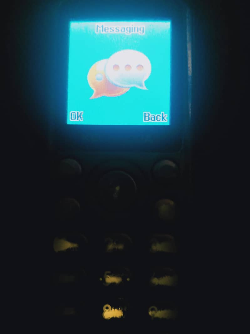 Bazil 2