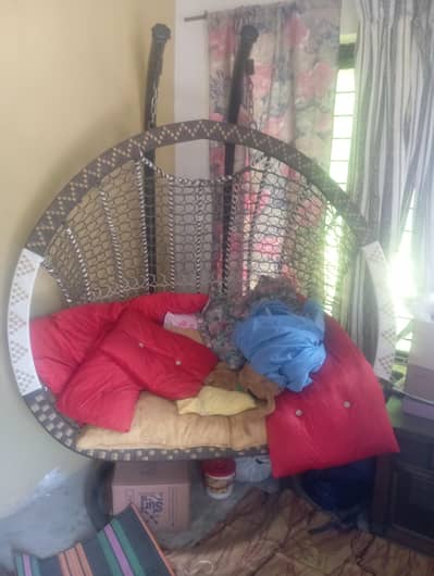 bubble swing for sale