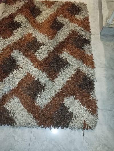 shaggy carpet in good condition