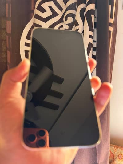 Apple iPhone 12 Pro Max