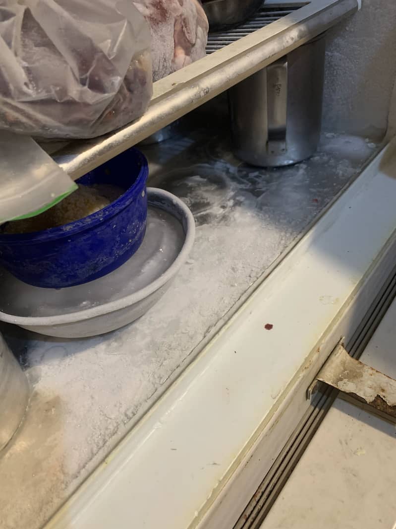 fridge 1