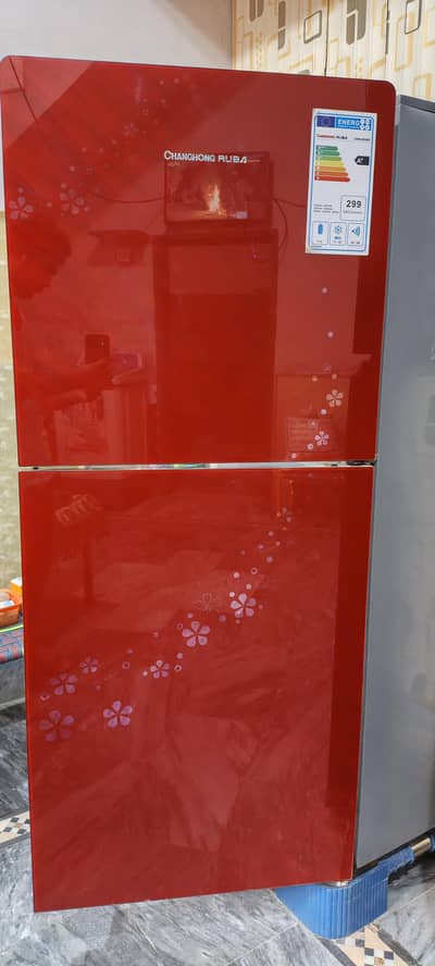 fridge Changhong Ruba refrigerator CHR DD308 A+